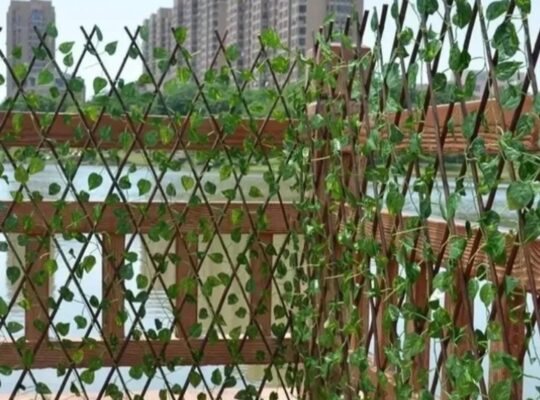 بوشنكي للتجارة