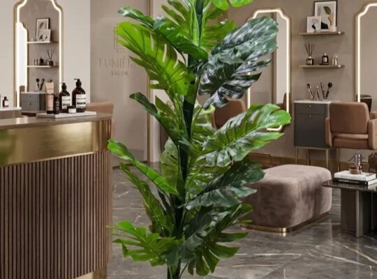 بوشنكي للتجارة