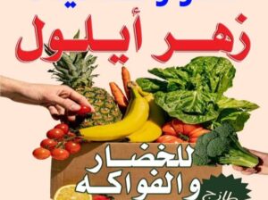 سنتر وغذائيات زهر أيلول
