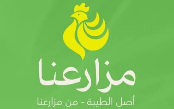دجاج مزارعنا
