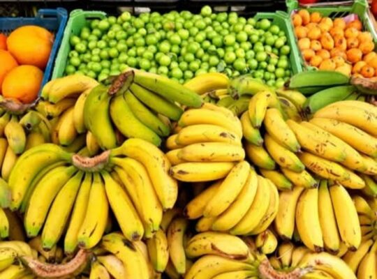 طارق للخضار والفواكه