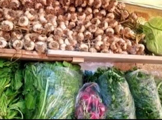 طارق للخضار والفواكه