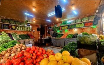 طارق للخضار والفواكه