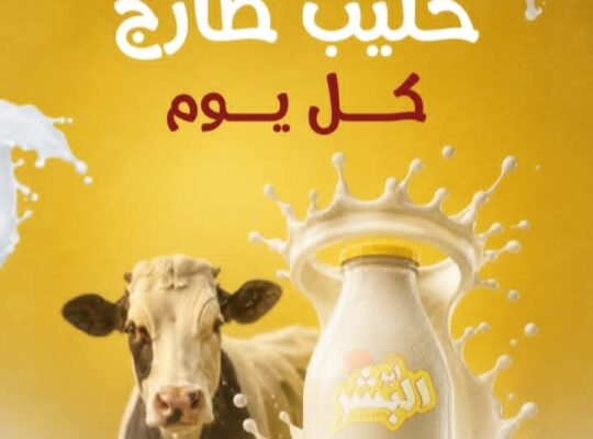 أبو البشر للألبان والأجبان